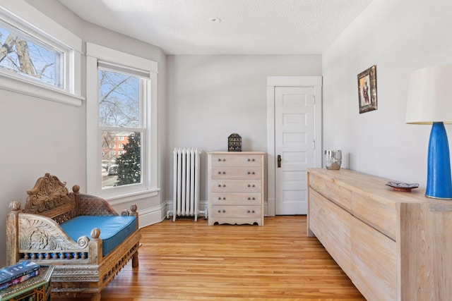 living area featuring radiator, light wood finished floors, and a textured ceiling