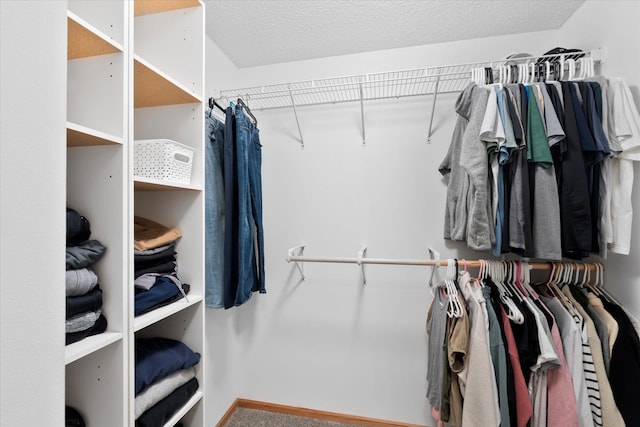 view of walk in closet