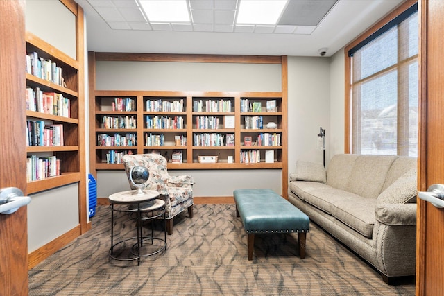 living area featuring carpet flooring and a healthy amount of sunlight