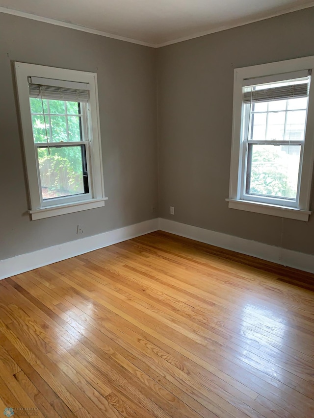 spare room with light wood-style flooring, ornamental molding, and a wealth of natural light