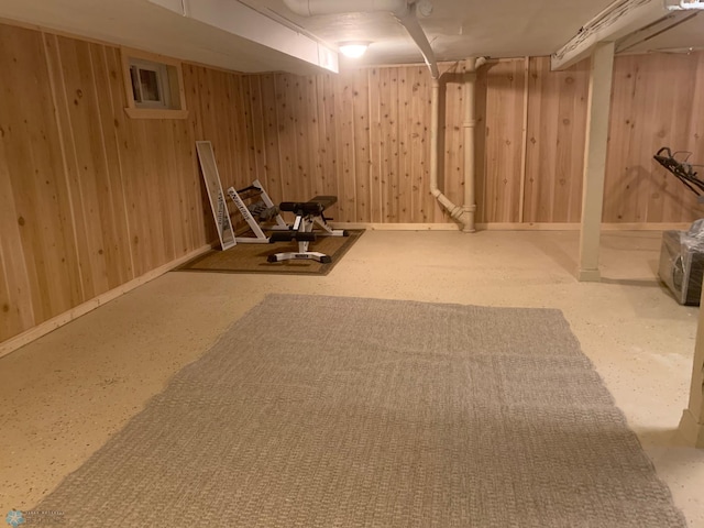 finished basement with wood walls