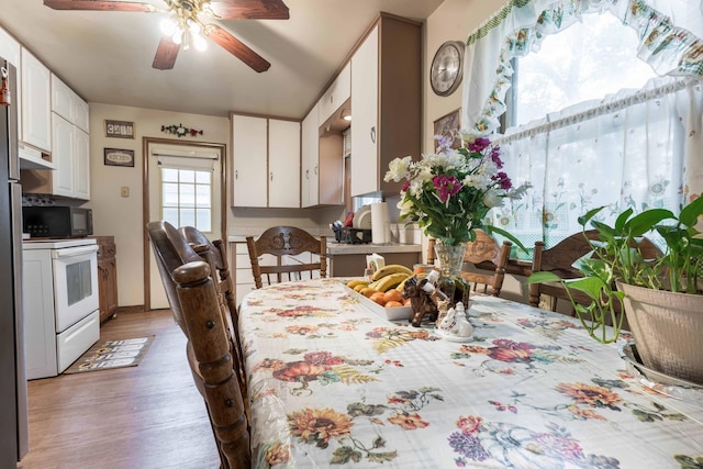 dining area featuring ceiling fan and light wood finished floors