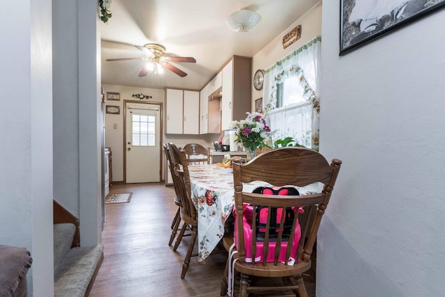 dining room featuring ceiling fan, stairway, and light wood-style floors