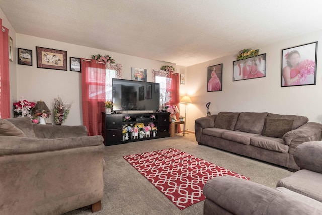 living area with a textured ceiling and carpet flooring