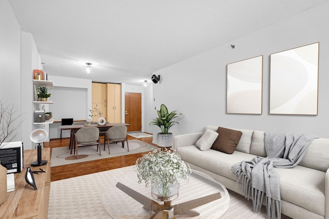 living room featuring a textured ceiling and light wood-type flooring