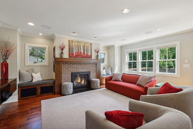 living room with a fireplace, wood finished floors, crown molding, and recessed lighting