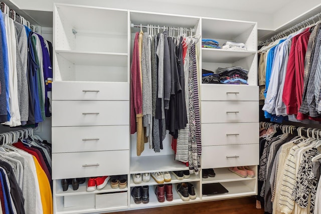 view of walk in closet