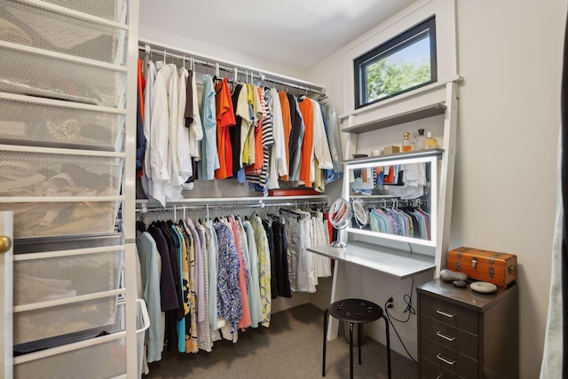 spacious closet featuring carpet