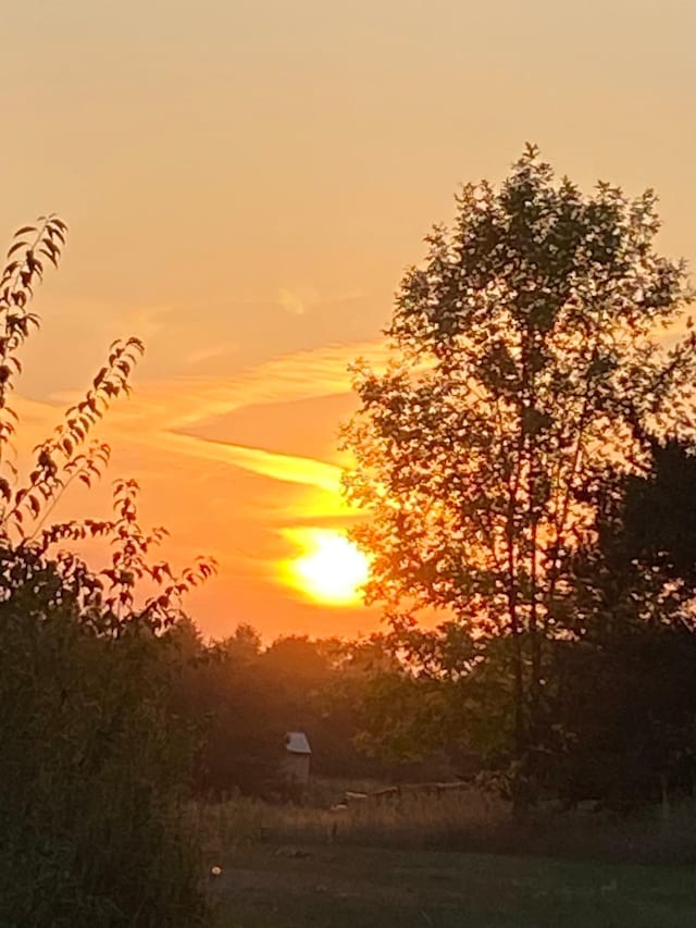 view of nature at dusk