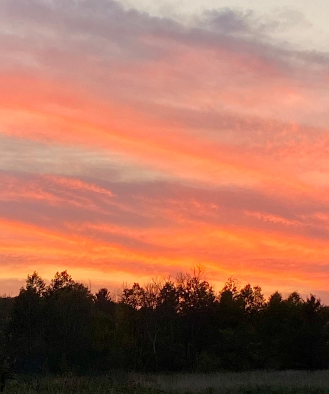 view of nature at dusk