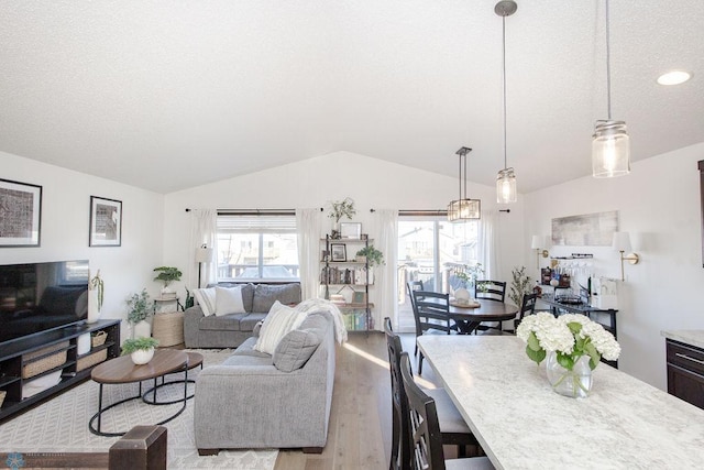 living area featuring lofted ceiling, plenty of natural light, a textured ceiling, and wood finished floors