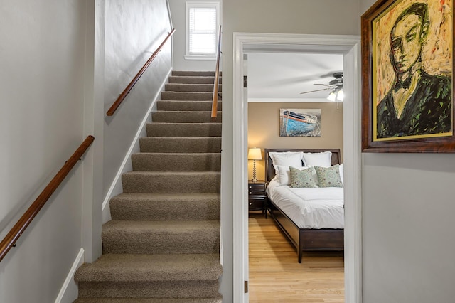 stairway featuring ceiling fan and wood finished floors