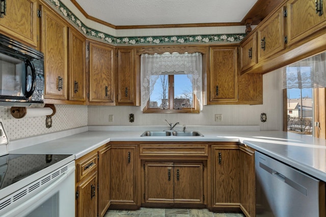 kitchen with black microwave, electric range, a sink, stainless steel dishwasher, and a wealth of natural light