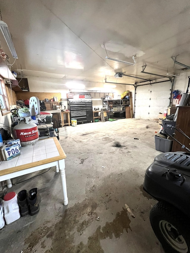 garage with a garage door opener