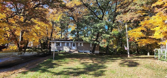 view of yard featuring entry steps