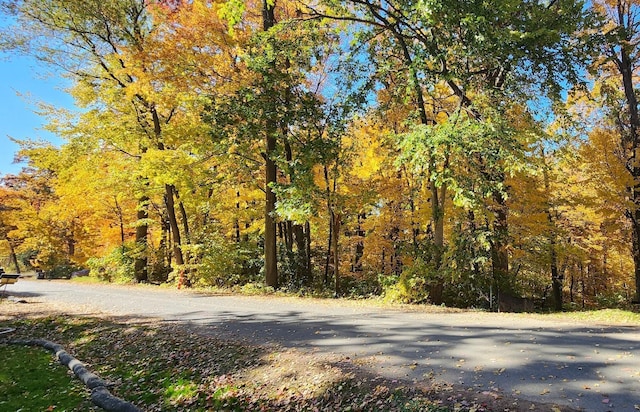 view of road featuring a view of trees