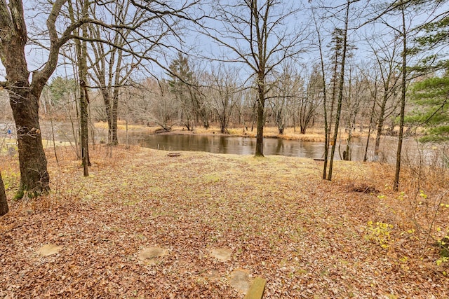 view of yard with a water view