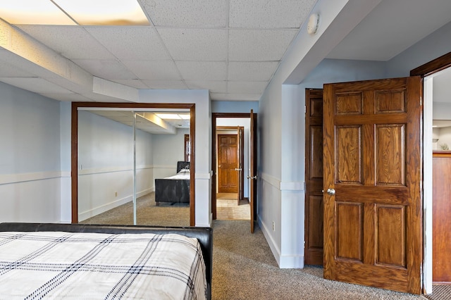 unfurnished bedroom with a closet, a paneled ceiling, and carpet