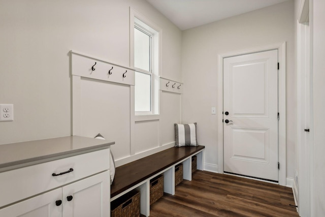 mudroom featuring dark wood-type flooring