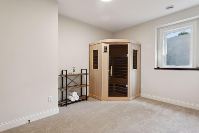 interior space with carpet floors, visible vents, and baseboards