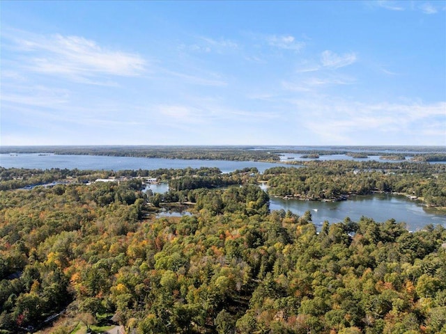 bird's eye view featuring a forest view and a water view