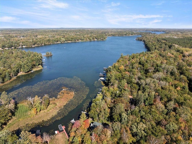 birds eye view of property with a view of trees and a water view