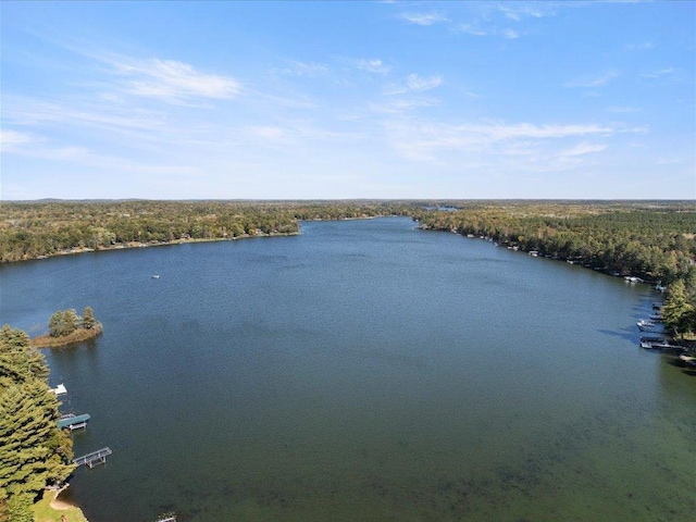 property view of water with a wooded view