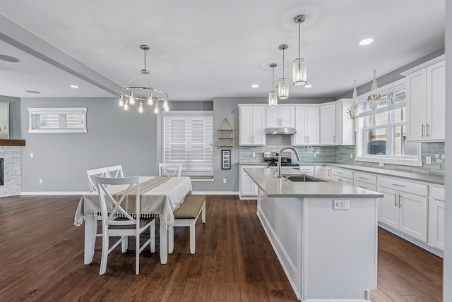 kitchen featuring decorative backsplash, dark wood-style floors, under cabinet range hood, and a sink