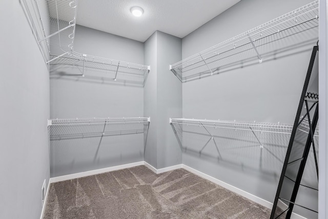 spacious closet featuring carpet