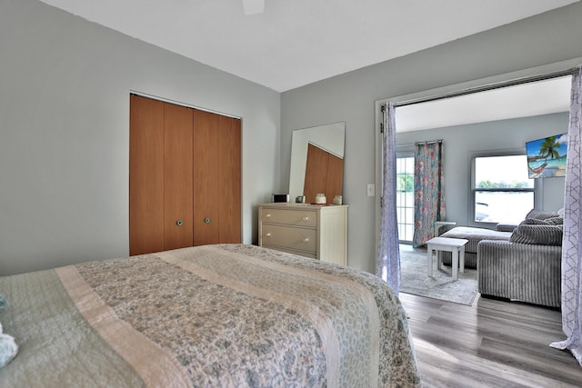 bedroom featuring a closet and wood finished floors