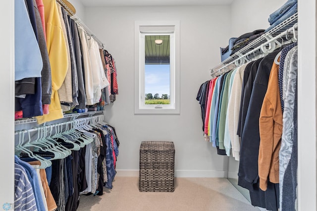 spacious closet with carpet