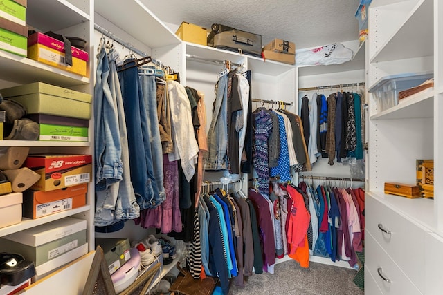 walk in closet featuring carpet flooring