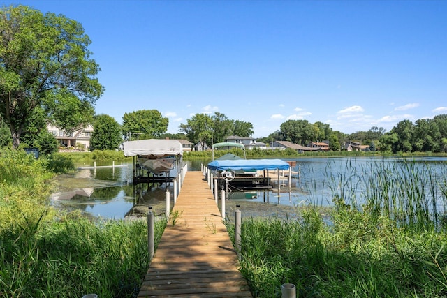 dock with boat lift and a water view