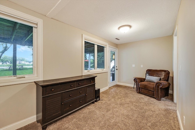 living area featuring plenty of natural light, baseboards, light carpet, and a textured ceiling