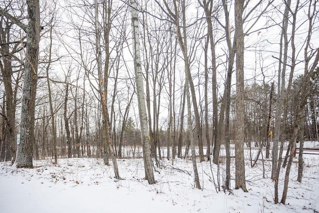 view of snowy landscape