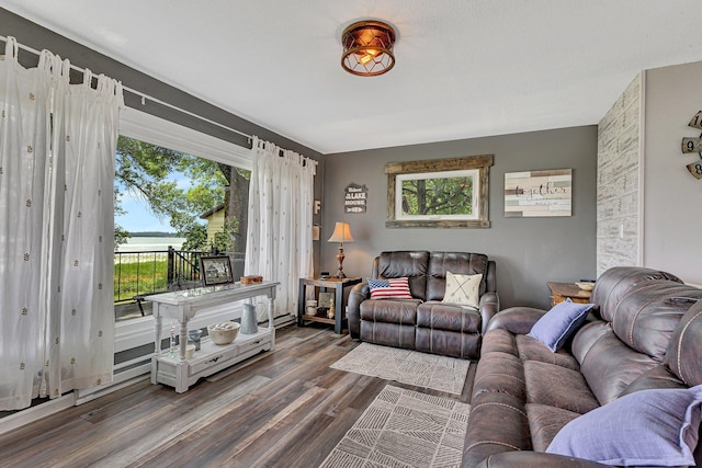 living room with dark wood-style floors