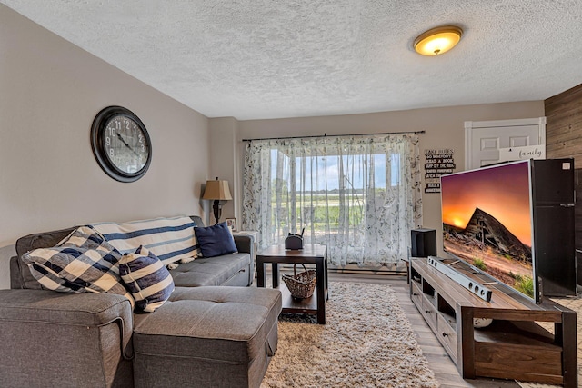 living room featuring wood finished floors and a textured ceiling