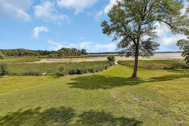 view of yard with a rural view