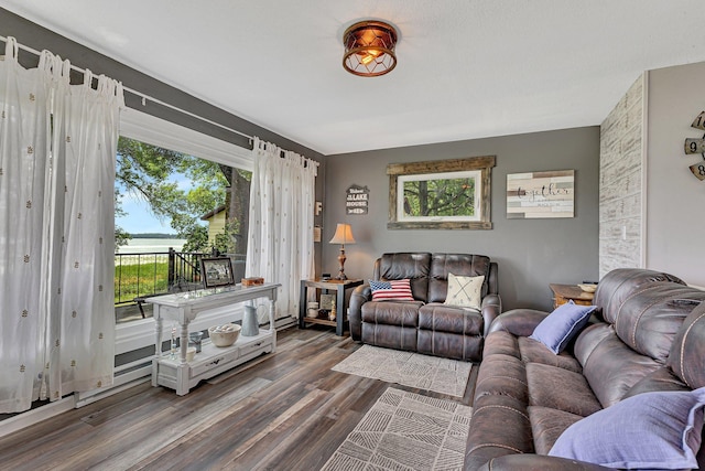 living area featuring dark wood-style flooring
