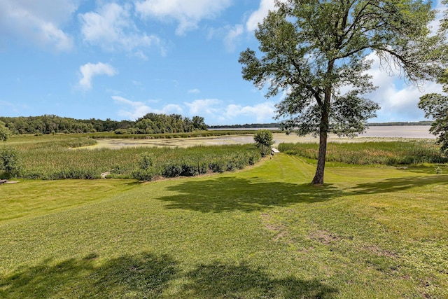 view of yard featuring a rural view