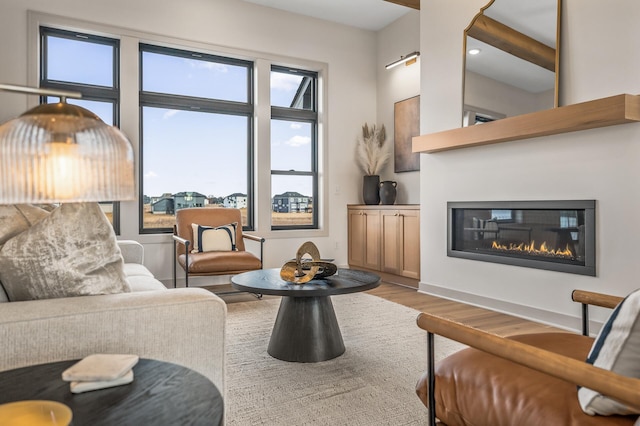 living room featuring wood finished floors and a glass covered fireplace