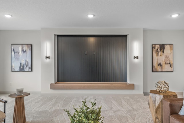 interior details featuring carpet floors, recessed lighting, and a textured ceiling