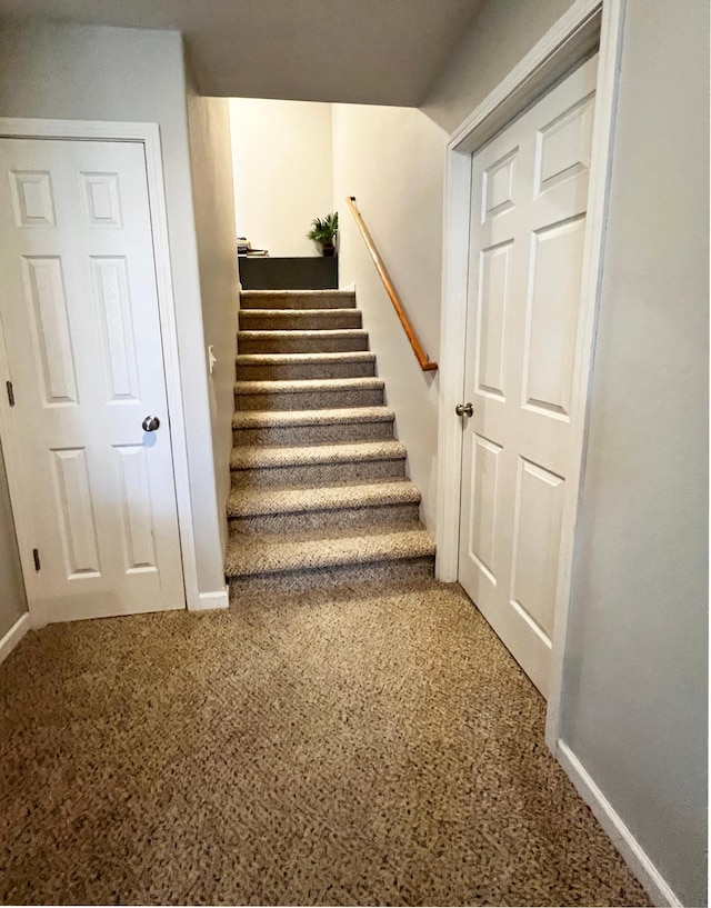 stairs featuring baseboards and carpet flooring