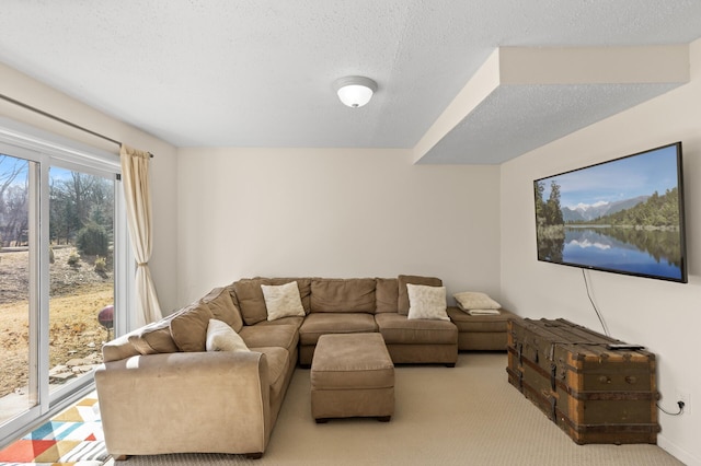 living room with carpet floors and a textured ceiling