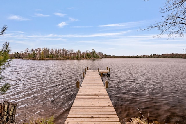 dock with a water view