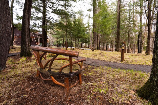 view of property's community