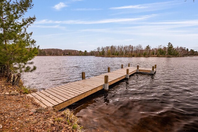 dock with a water view