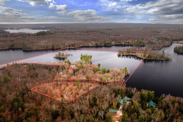 view of property location with a large body of water, a forest, and property boundaries highlighted