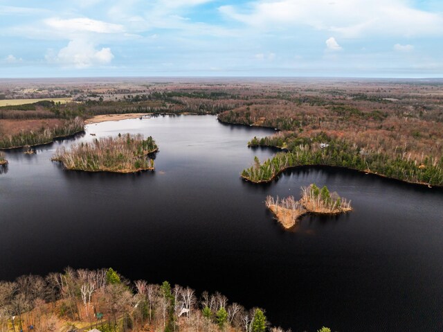 aerial view of a nearby body of water and a forest