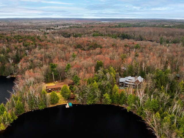 drone / aerial view of a large body of water and a heavily wooded area